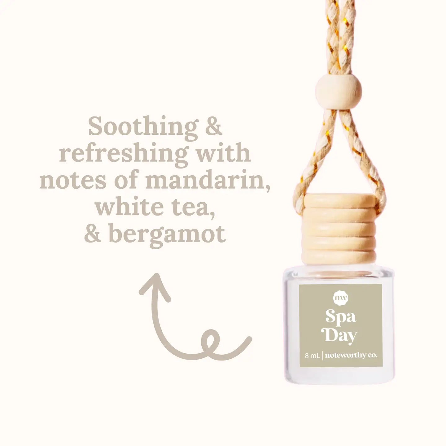 Hanging Car Diffuser