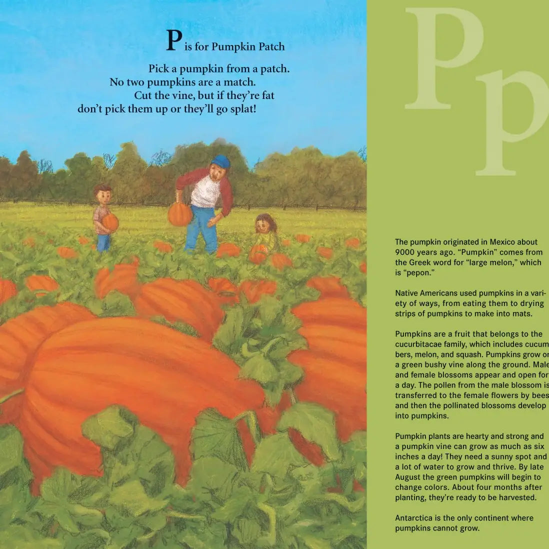 J Is For Jack O-Lantern Book