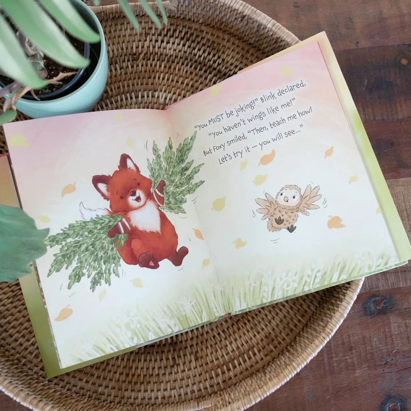 Foxy & Blink Book