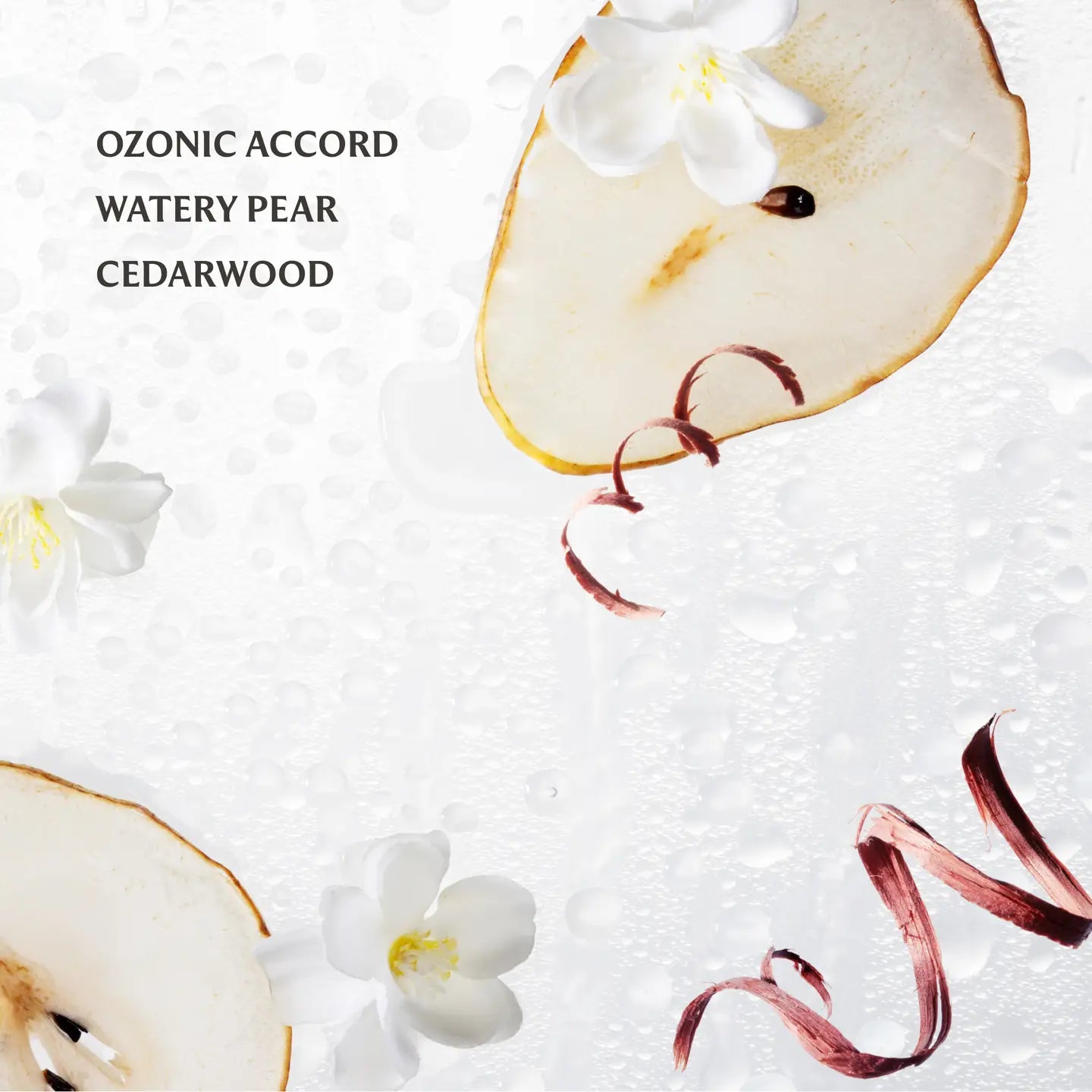 Hand Sanitizer - Rainwater