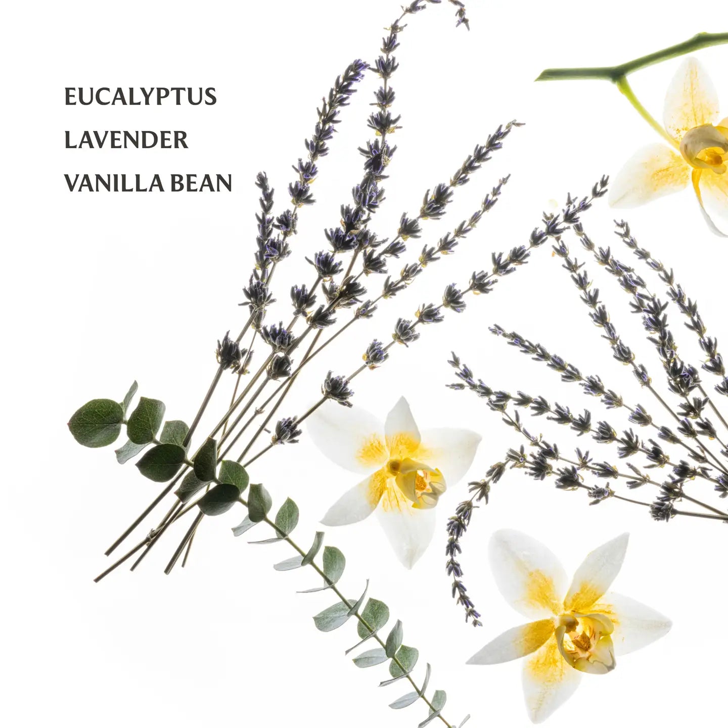 Hand Sanitizer - Pure Lavender