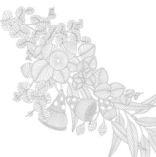 Woodland Wild Coloring Book