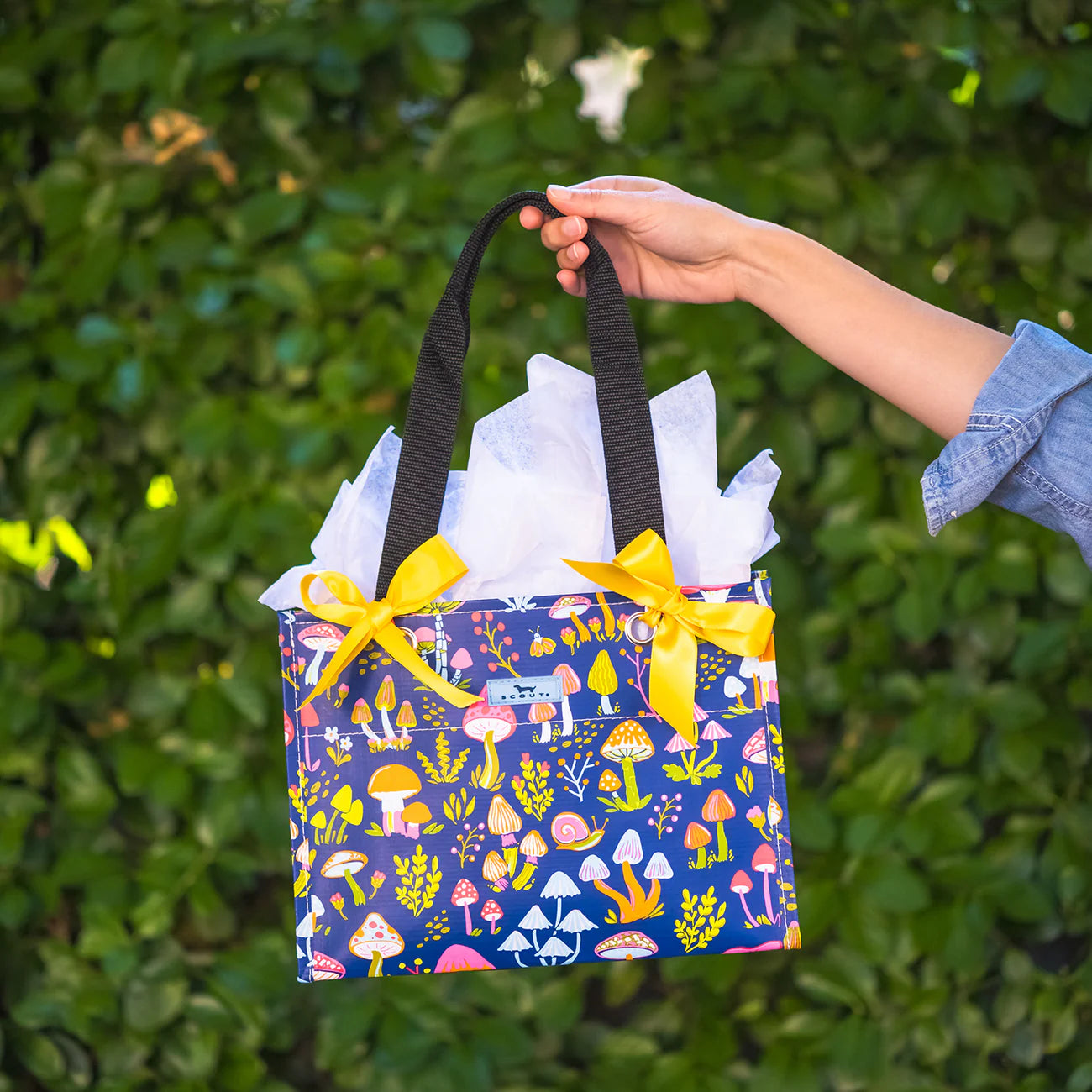 Tiny Package - Field Trip