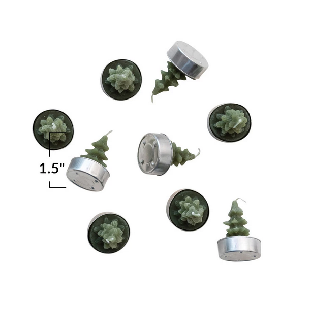Evergreen Tealights