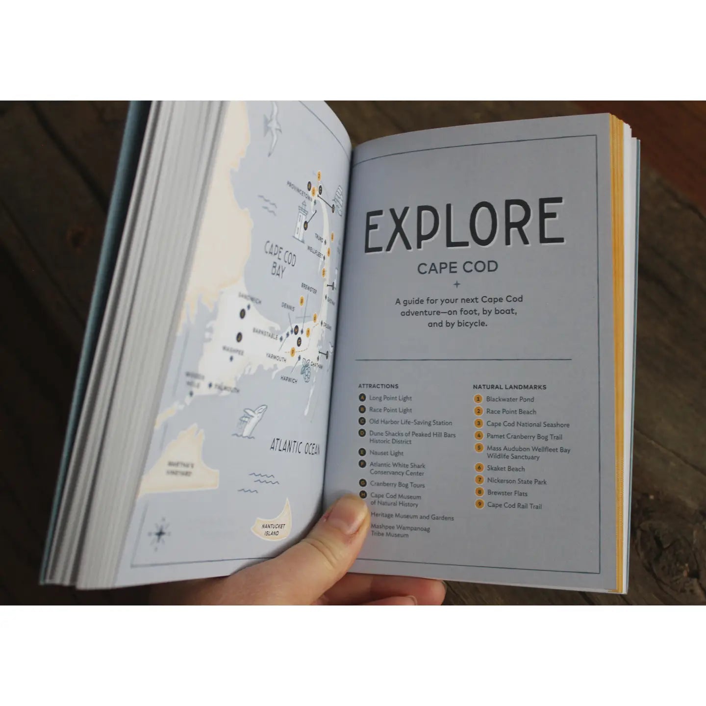 Campfire Stories: Cape Cod