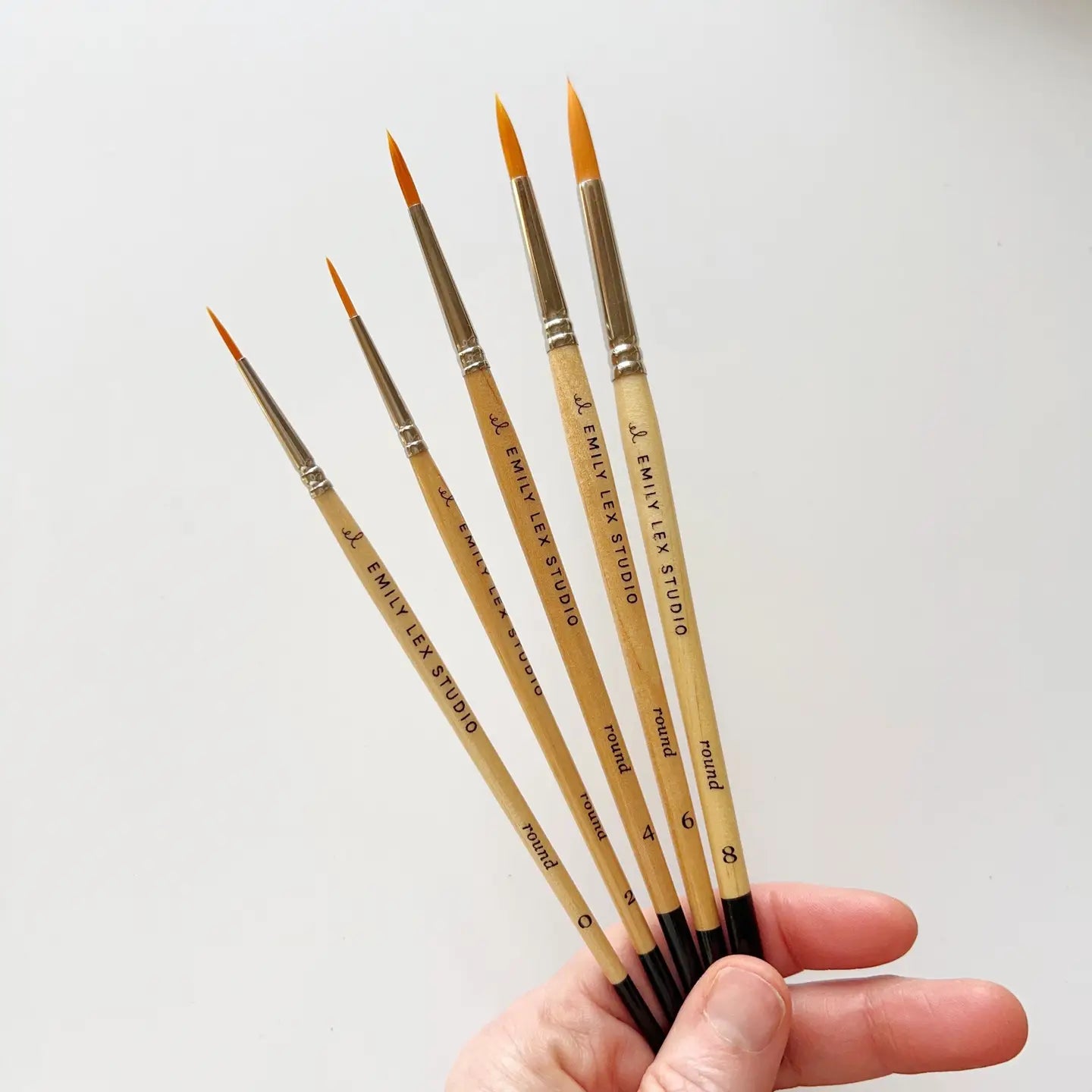 Set Of 5 Watercolor Brushes