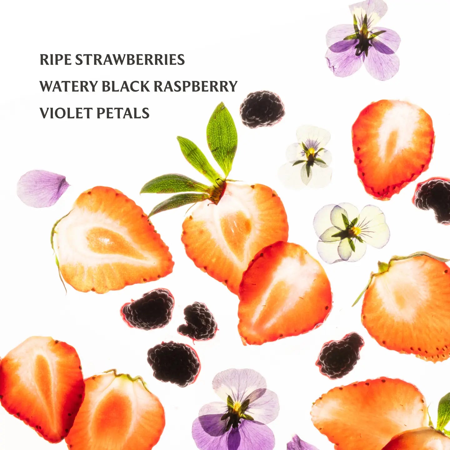 Hand Sanitizer - Berry Bliss