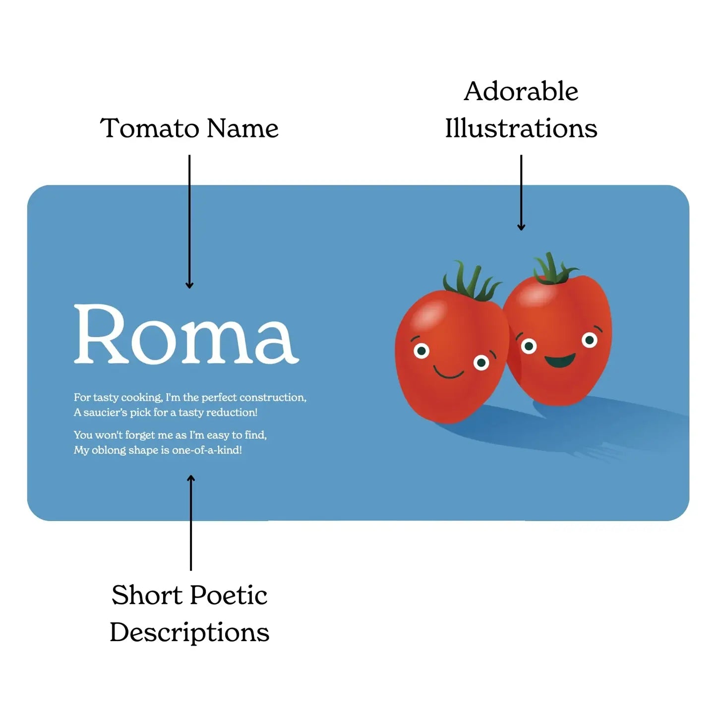 Little Book Of Tomoatoes