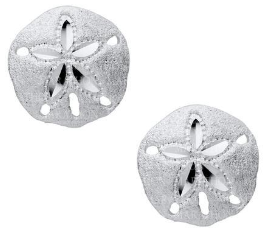Sand Dollar Sterling Silver Stud Earring - 11mm