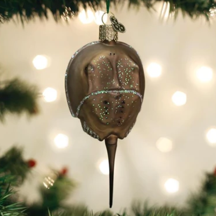 Horseshoe Crab Ornament