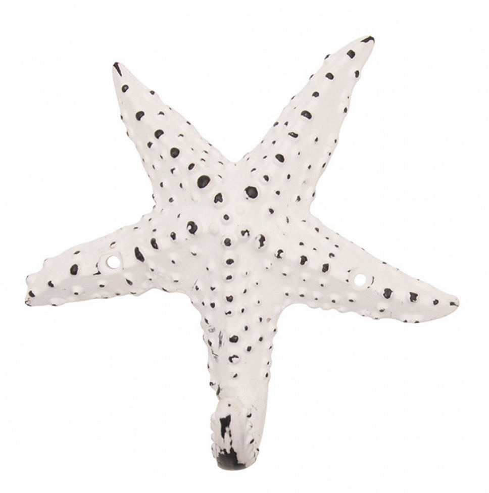 Starfish wall hook hotsell
