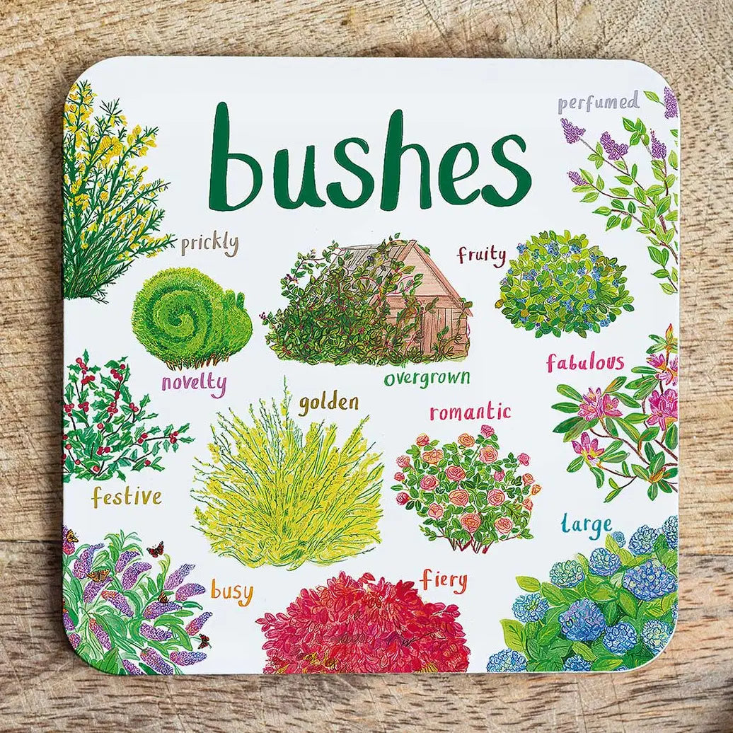 Coaster - Bushes