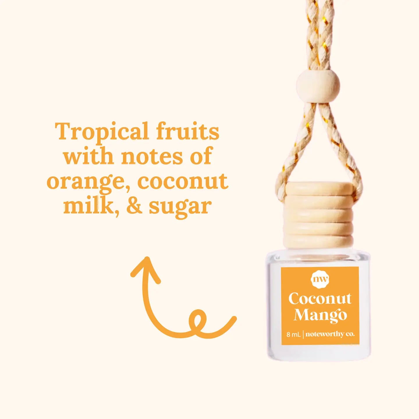 Hanging Car Diffuser