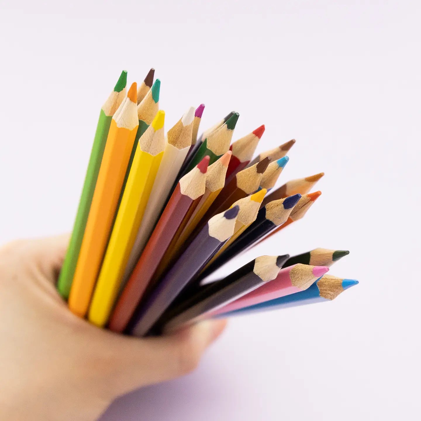 Set Of 24 Colored Pencils