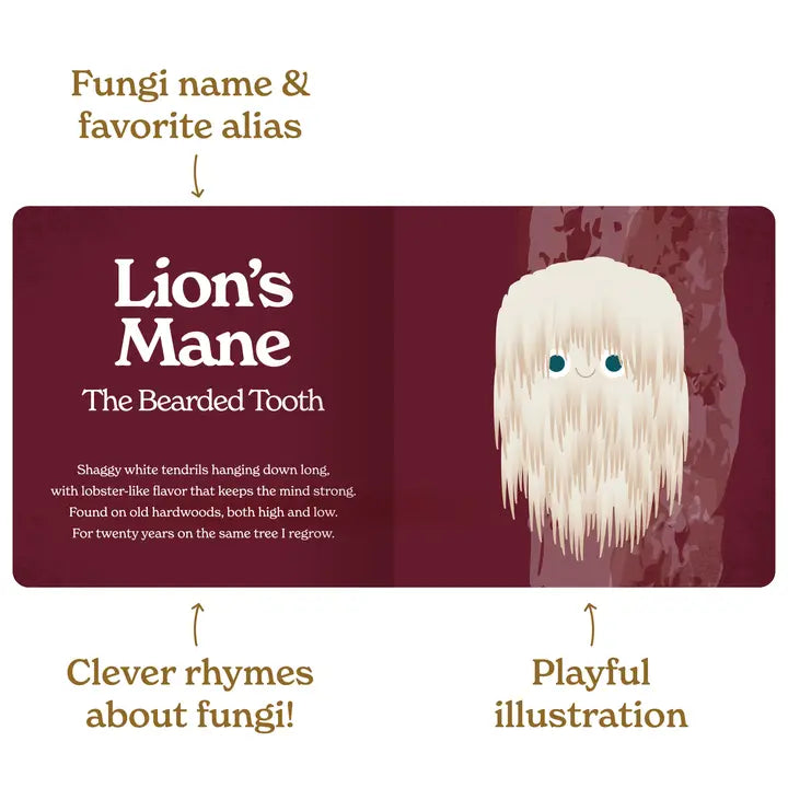 Little Book Of Fungi