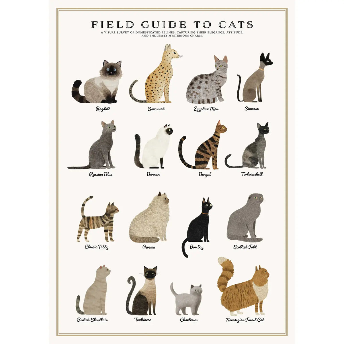 Vintage Puzzle - Cats