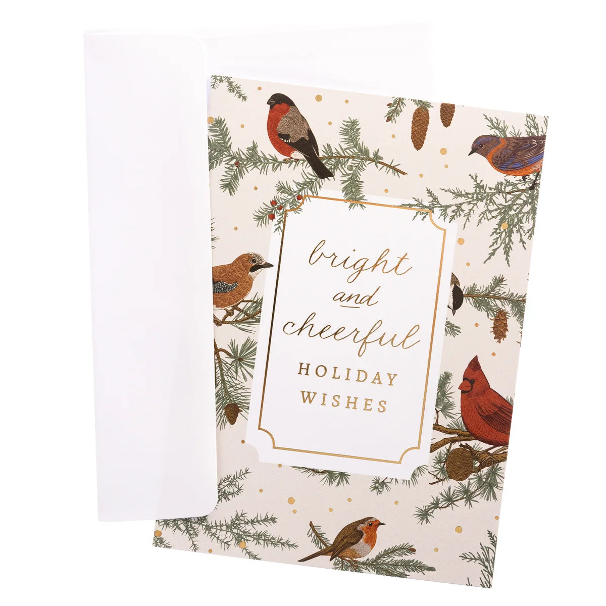 Boxed Cards - Birds