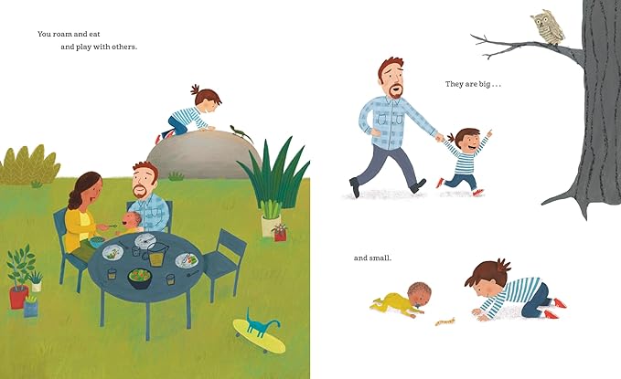 The Dinosaur In The Garden Book