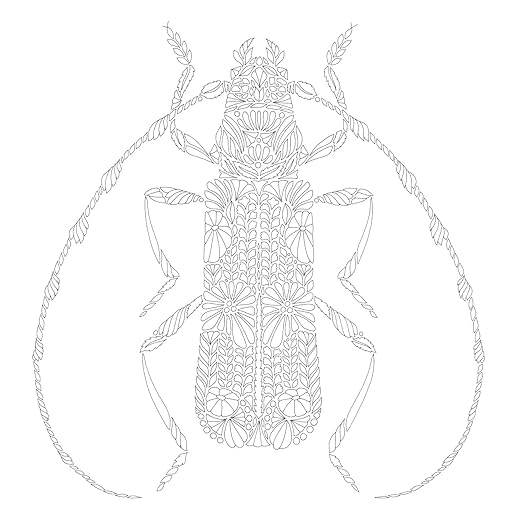 Woodland Wild Coloring Book