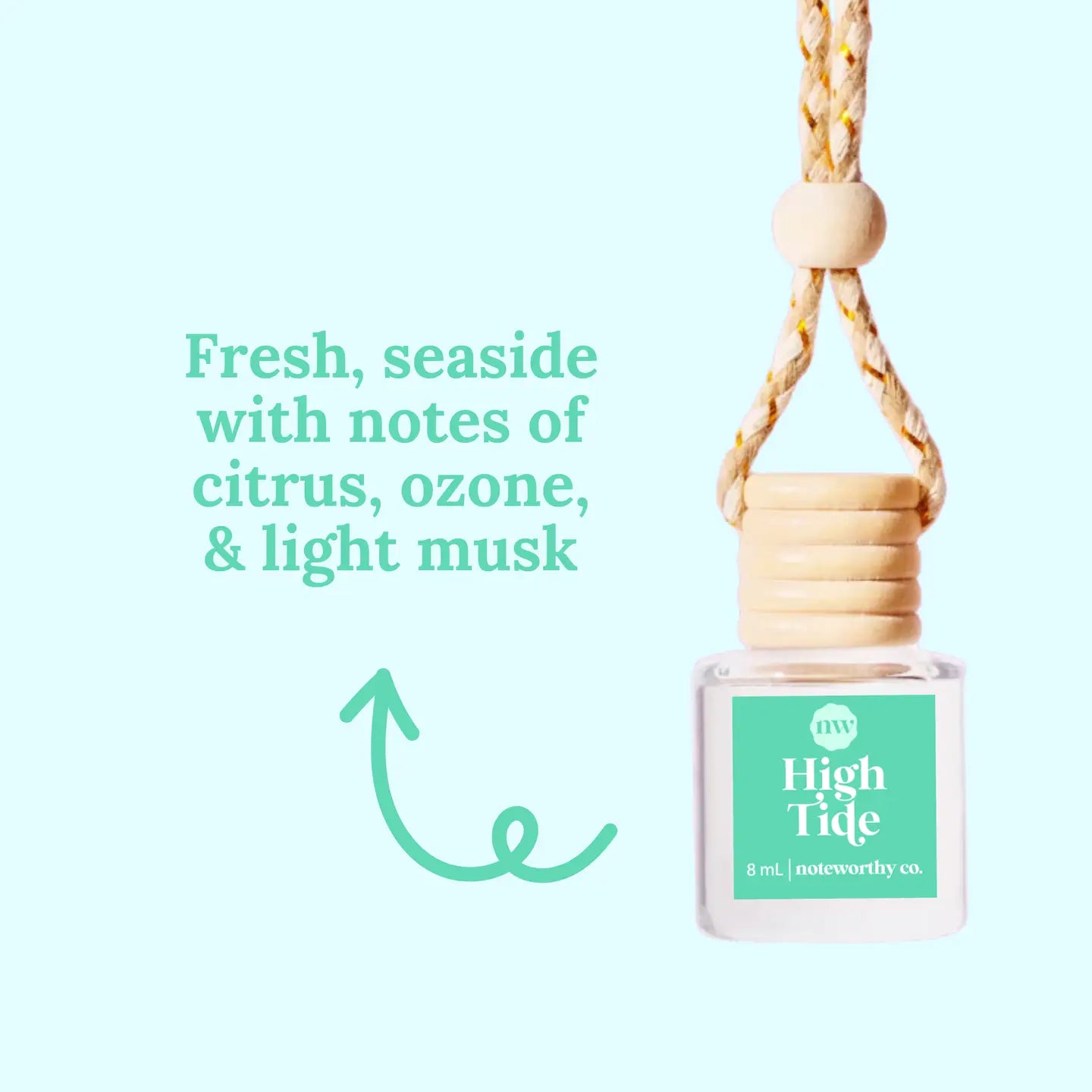 Hanging Car Diffuser