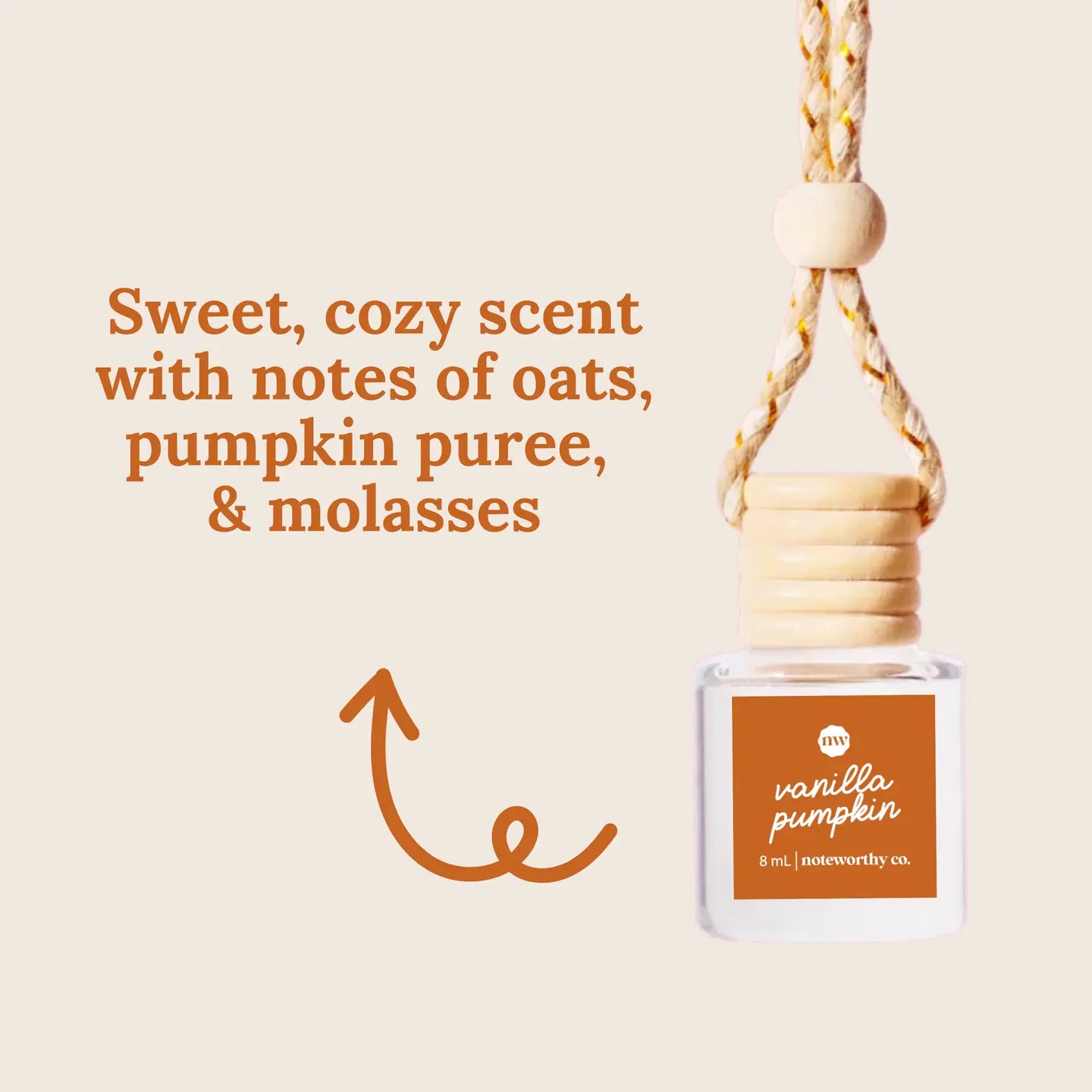 Hanging Car Diffuser