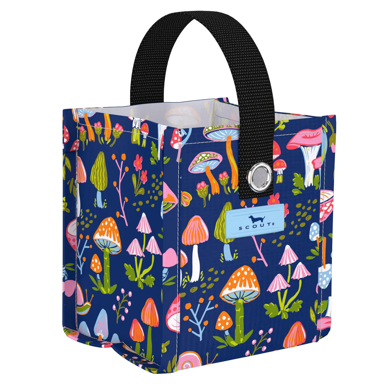 Mini Package - Field Trip