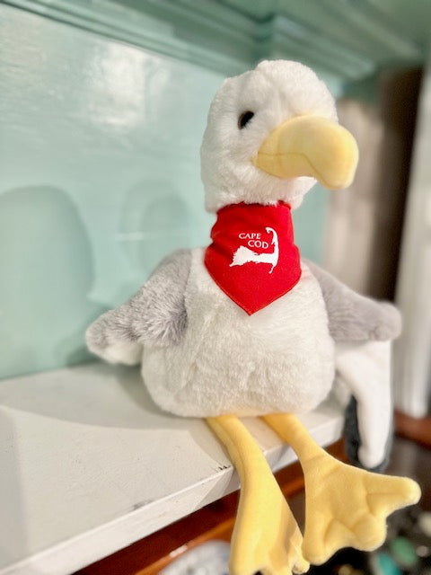 Stewie The Seagull Wearing Cape Cod Bandana