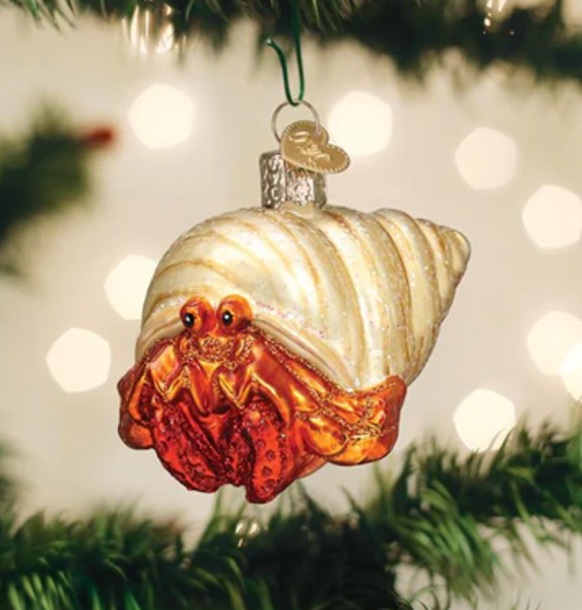 Hermit Crab Ornament