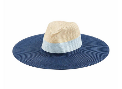Fedora Hat in 2 Colors