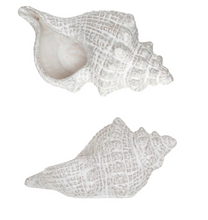 Load image into Gallery viewer, White Conch Shell Decor
