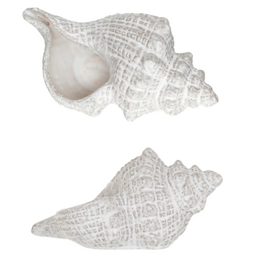 White Conch Shell Decor