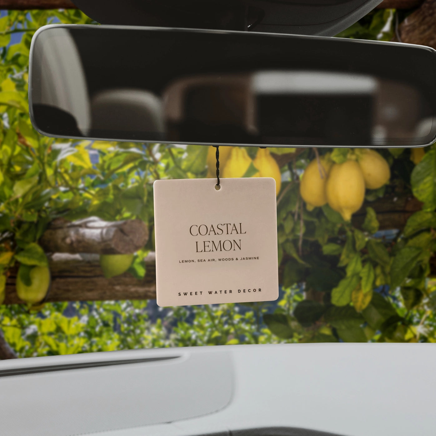 Hanging Air Freshener