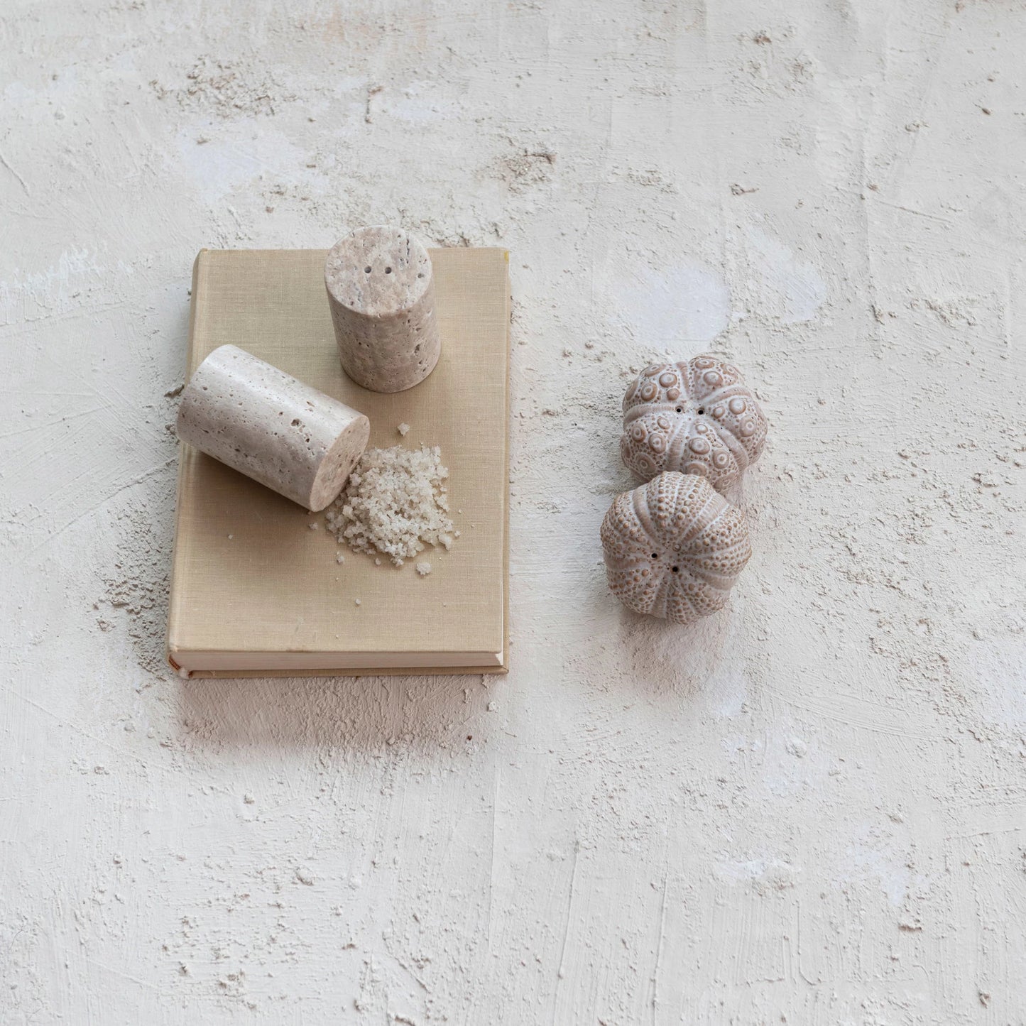 Sea Urchin Salt & Pepper Shakers