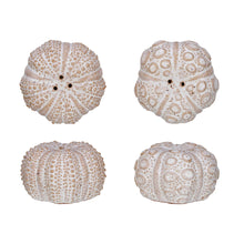 Load image into Gallery viewer, Sea Urchin Salt &amp; Pepper Shakers