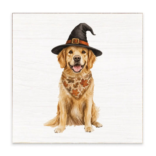 Block - Fall Dog