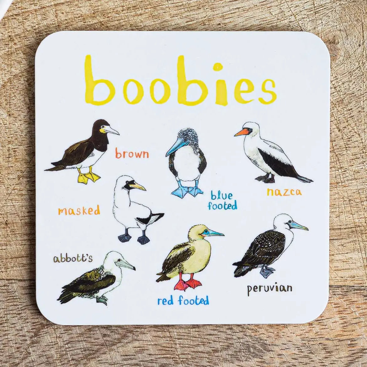 Coaster - Boobies