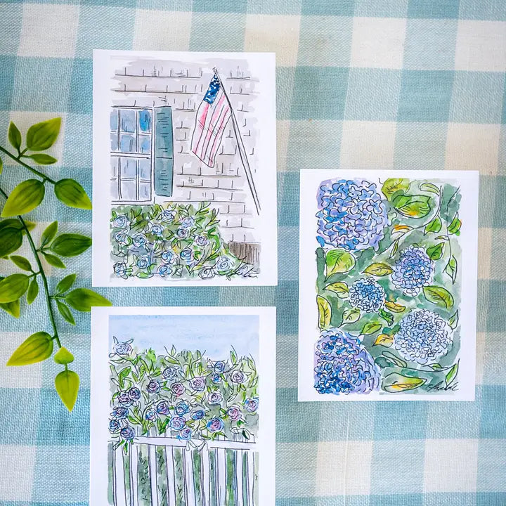 Boxed Cards - Cape Blooms