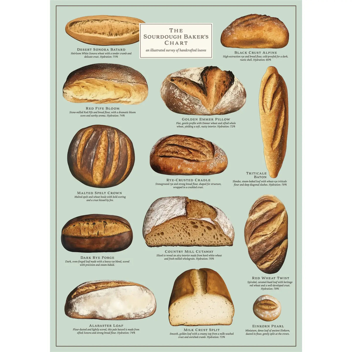Vintage Puzzle - Sourdough