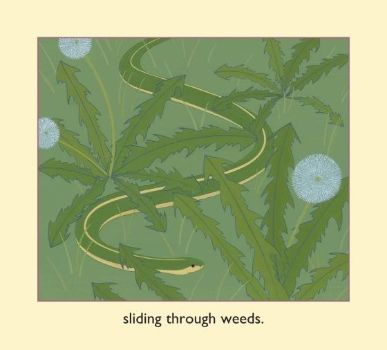 Stripes Of All Types Book