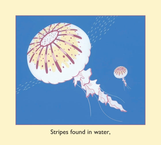 Stripes Of All Types Book