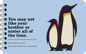 BEING A BIG BROTHER - BOOK FOR BIG BROTHERS