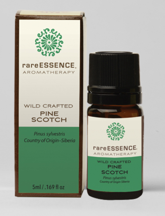 Pine Scotch Essential Oil