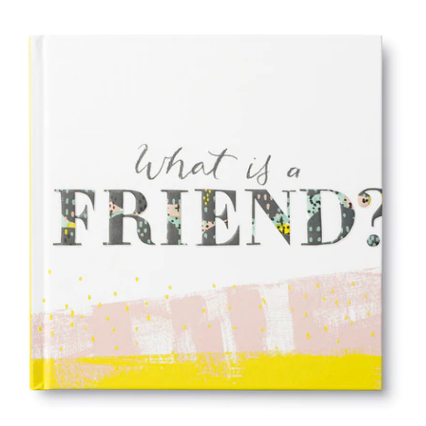Book - What Is a Friend?