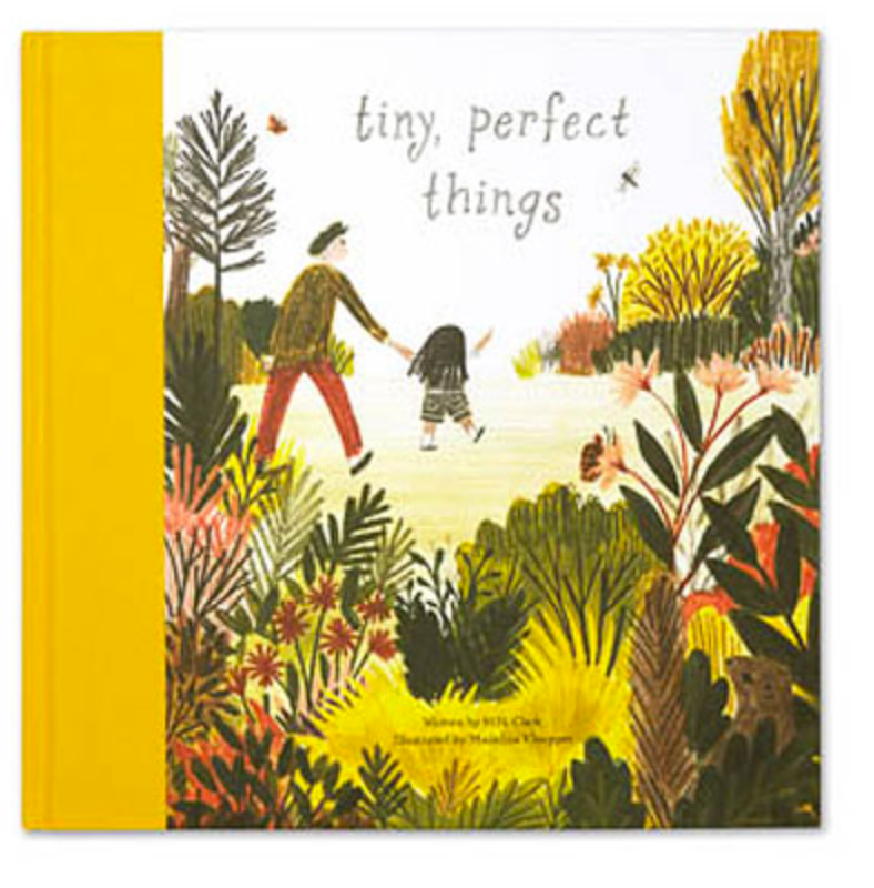 Book - Tiny, Perfect Things