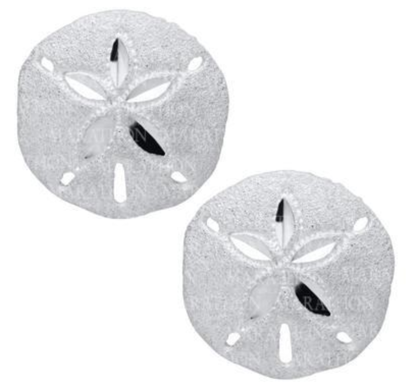 Sand Dollar Sterling Silver Stud Earring - 14mm