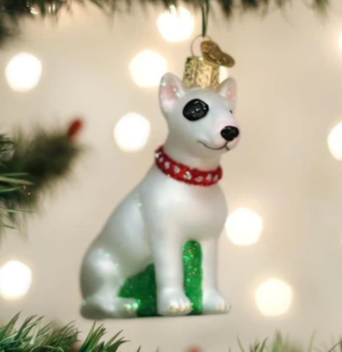 Bull Terrier
