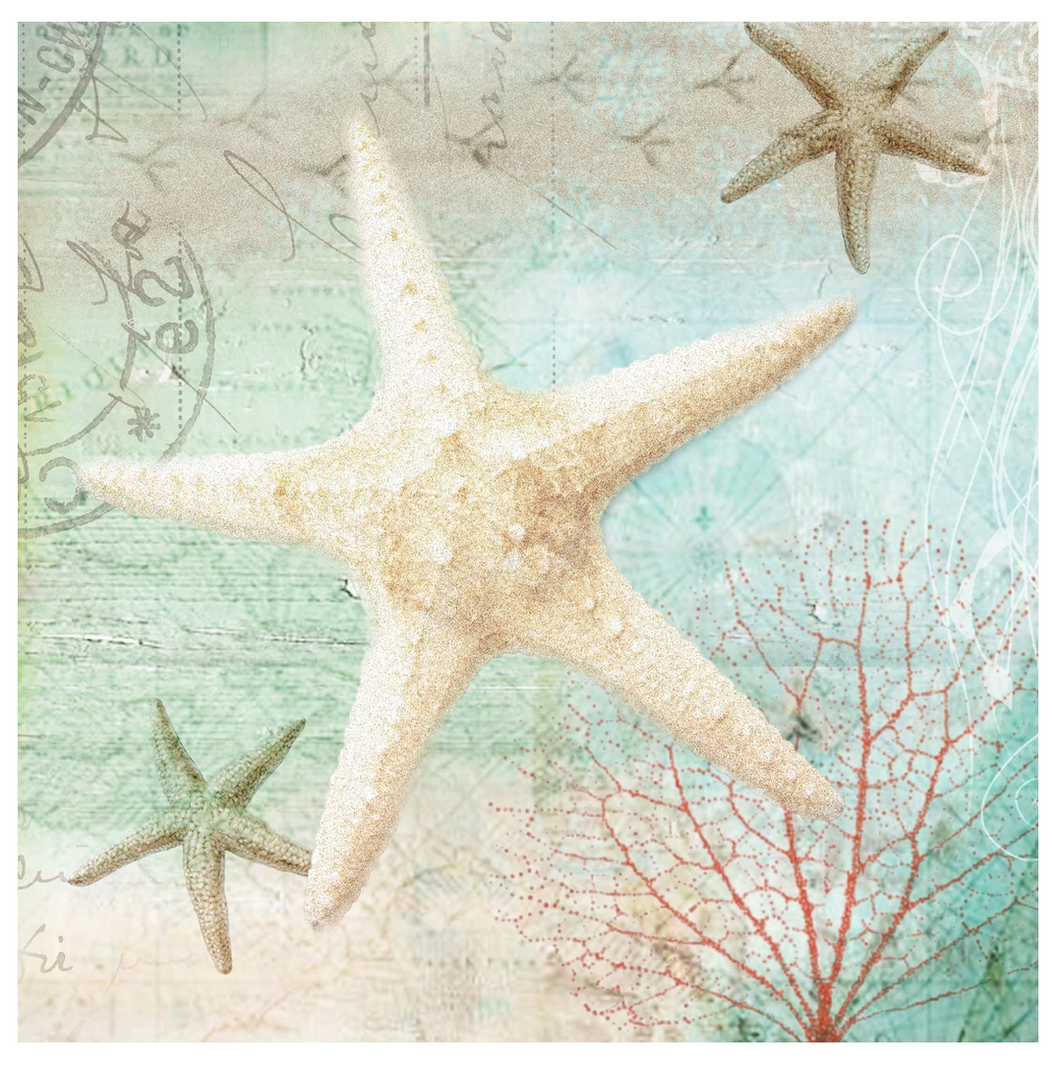 Star Fish Marble Coaster