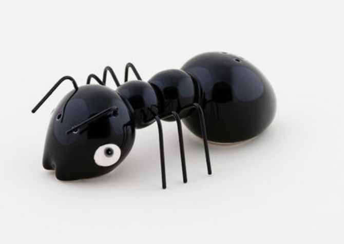 Salt & Pepper Set - Black Ant