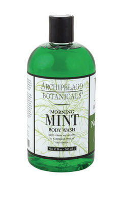 Morning Mint Body Wash - 17oz