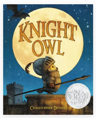 Knight Owl Children's Book